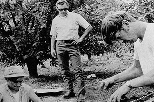 Thi thể người đàn đồng tính trong vườn đào hé lộ vụ giết người hàng loạt