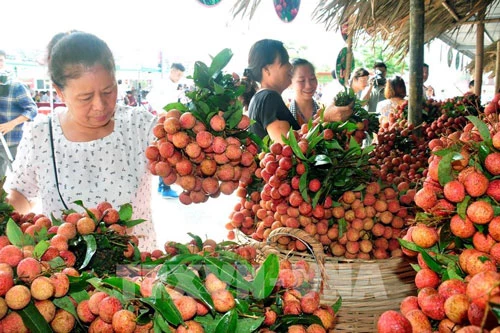 Ảnh minh họa. Ảnh minh họa.