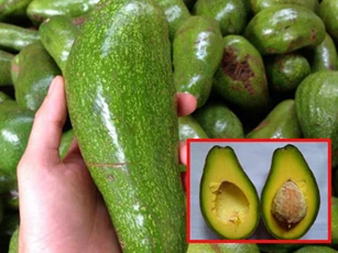 Mẹo chọn bơ sáp chuẩn ngon, đừng vội nhặt quả to mà phí tiền