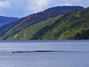 Thêm một bằng chứng về quái vật hồ Loch Ness?