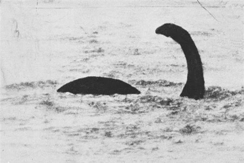 Bằng chứng mới về quái vật hồ Loch Ness? - 3