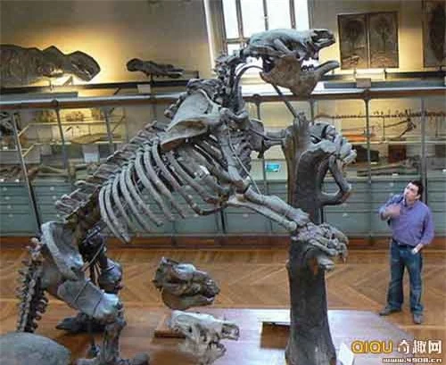 10 con quái vật tiền sử khổng lồ nhất - 10