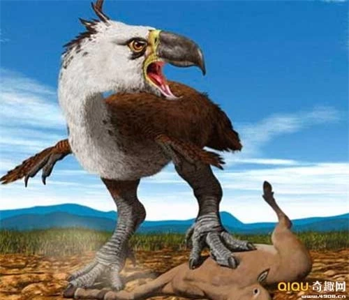10 con quái vật tiền sử khổng lồ nhất - 8
