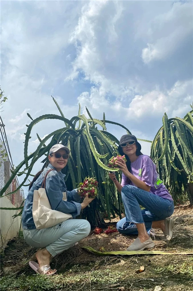 Về quê làm vườn, trồng cây, Hà Tăng vẫn thể hiện thần thái đỉnh cao không ai sánh kịp 2