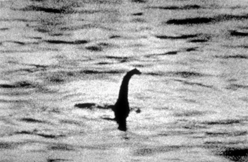 Xác động vật dạt vào bờ Loch Ness, nghi là quái vật huyền thoại - 5