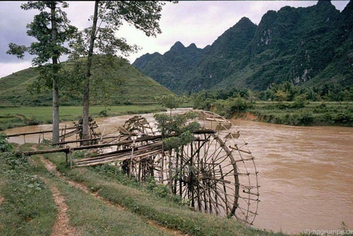 Những cọn nước phục vụ tưới tiêu bên bờ sông.