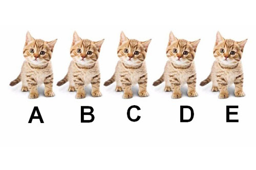 Trắc nghiệm: Bạn dễ bị 'cưa đổ' bởi mẫu người như thế nào?