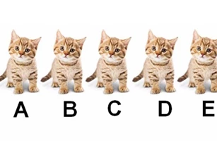 Trắc nghiệm: Bạn dễ bị 'cưa đổ' bởi mẫu người như thế nào?