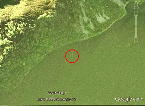 Quái vật hồ Loch Ness có thực sự tồn tại?