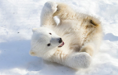 &#x1EA2;nh &#x111;&#x1EB9;p: Th&#x1EE3; l&#x1EB7;n b&#x1A1;i gi&#x1EEF;a &#x111;&#xE0;n c&#xE1; m&#x1EAD;p