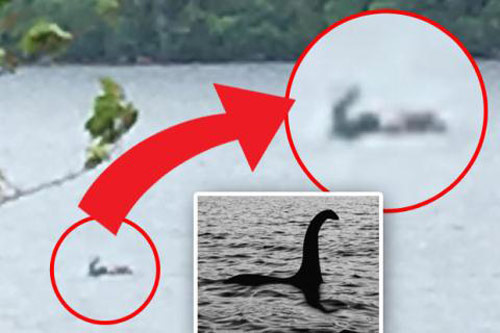 Quái vật hồ Loch Ness ngoi hơn nửa người trên mặt nước?