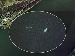 Lại chụp được "thủy quái" trên hồ Loch Ness