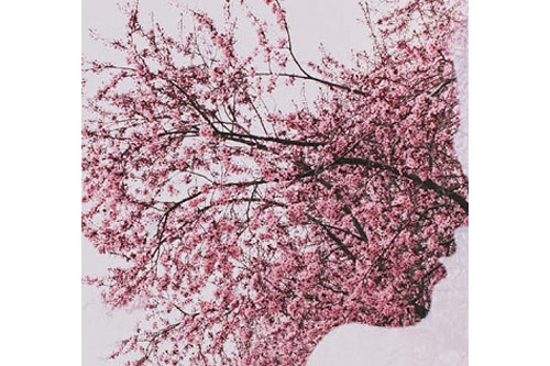 Trắc nghiệm: Bạn là người bốc đồng hay điềm tĩnh?