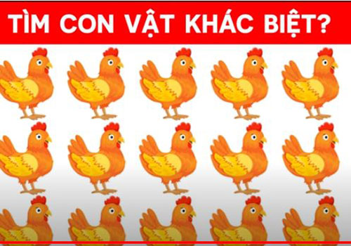 CLIP: Thư giãn đầu óc qua loạt câu đố vui đơn giản