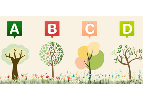 Trắc nghiệm: Tóm lược tính cách nổi bật của bạn chỉ bằng một từ