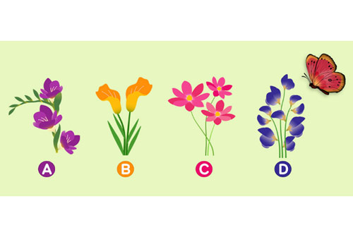 Trắc nghiệm: Quan điểm của bạn về tình yêu như thế nào?