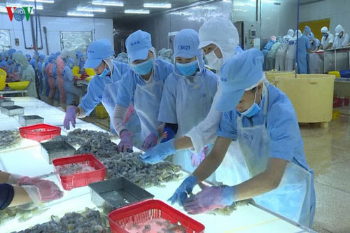 Nhiều doanh nghiệp vẫn kiên cường chống chọi “tự mình cứu mình”