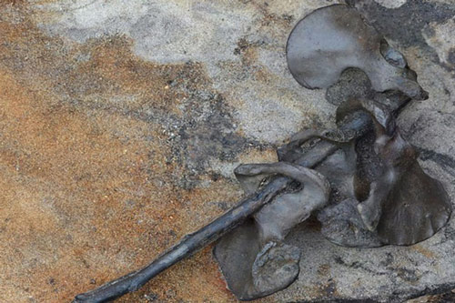 Phát hiện tàn tích của cuộc chiến tranh bộ lạc man rợ ở châu Âu