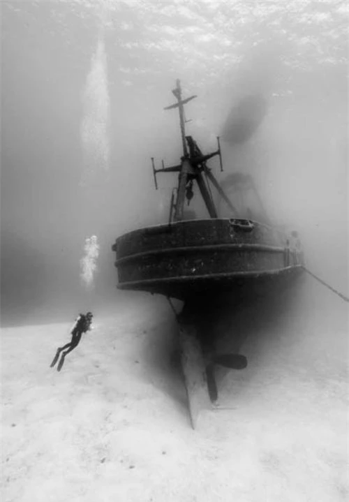 Cùng nhiếp ảnh gia lặn xuống đáy biển sâu để chiêm ngưỡng những hình ảnh bí ẩn này - 7