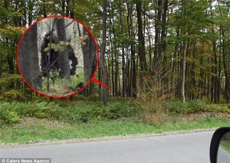 Hình ảnh 2 quái vật Bigfoot đi lại trong rừng.