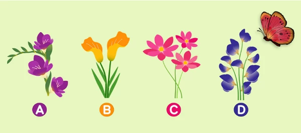 Bạn chọn bông hoa nào?