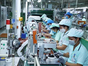 Bộ Chính trị kết luận chưa tăng lương cơ sở từ 1/7/2020