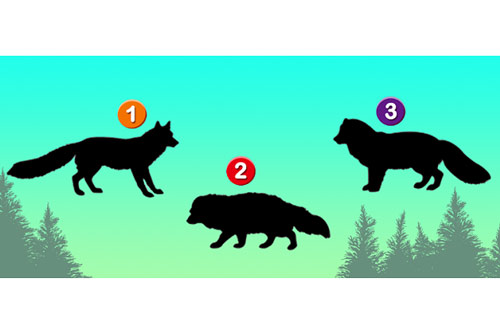 Trắc nghiệm: Mọi người yêu quý bạn vì điều gì?