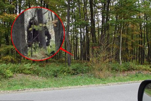 Phát hiện 2 "quái vật Bigfoot" ở Mỹ