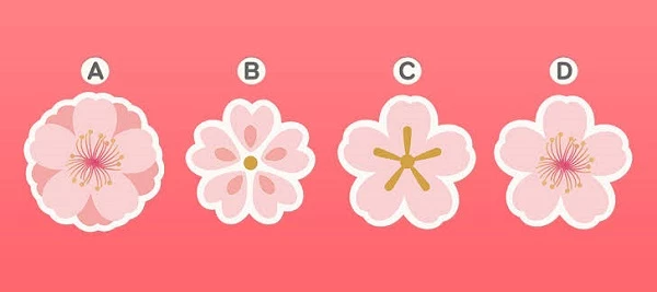 Bạn chọn bông hoa nào?