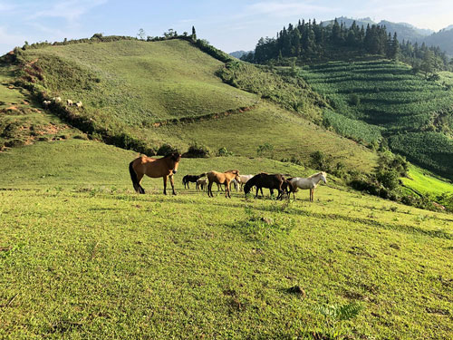 Ngắm hoàng hôn trên đỉnh Ngải Thầu
