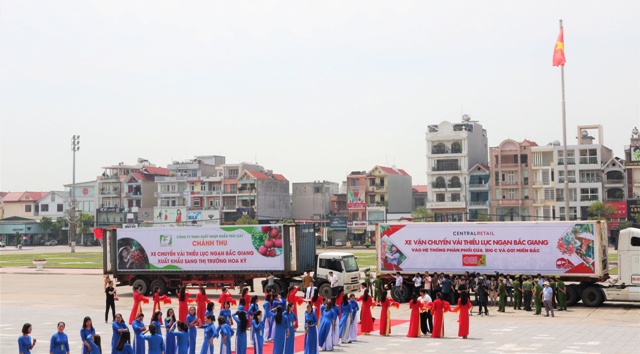 Central Retail sẽ tiêu thụ 1.000 tấn vải Lục Ngạn – Bắc Giang 