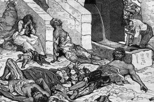 Vua chuột - Hiện tượng kinh dị hiếm gặp và nguy hiểm