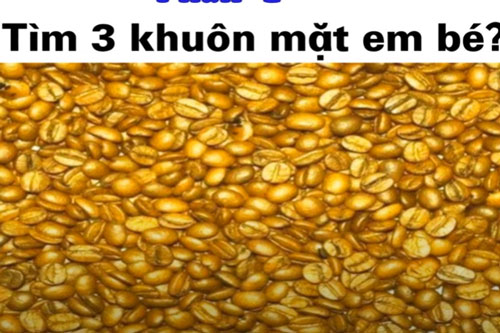 CLIP: "Hoa mắt chóng mặt" với 10 câu đố vui thử tài tinh mắt