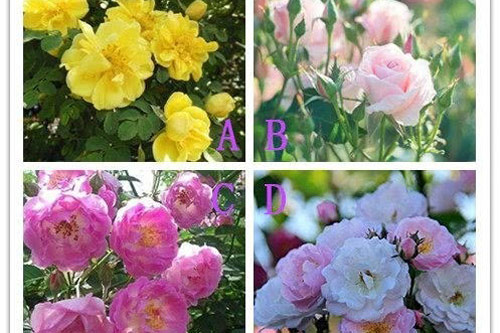 Trắc nghiệm: Giải pháp nào để bạn thoát ế trong thời gian tới?