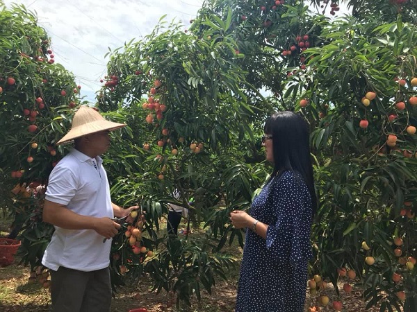 Anh Nguyễn Văn Quyên, thôn Kép 1, xã Hồng Giang chia sẻ với phóng viên.