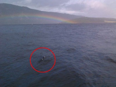 Vùng khoanh tròn trên hình ảnh siêu âm cho thấy, một sinh vật lạ xuât hiện ở đáy hồ Loch Ness.