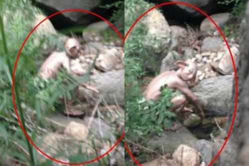 “Quái vật” giống Gollum xuất hiện ở Trung Quốc