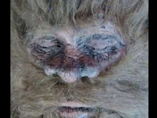Bằng chứng về sự tồn tại của quái thú Bigfoot trong truyền thuyết