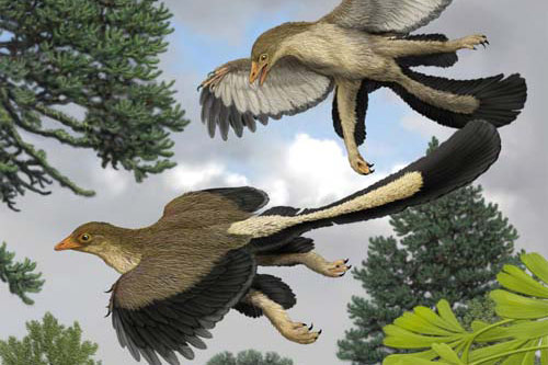 Giải mã bí ẩn của khủng long bay