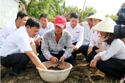 Anh Lưu Minh Trí ở xã Nam Yên, huyện An Biên nuôi tôm quảng canh được hỗ trợ vốn vay từ Agribank nên đã mua thêm 4ha mở rộng diện tích nuôi. Ảnh: Lê Hoàng Vũ.