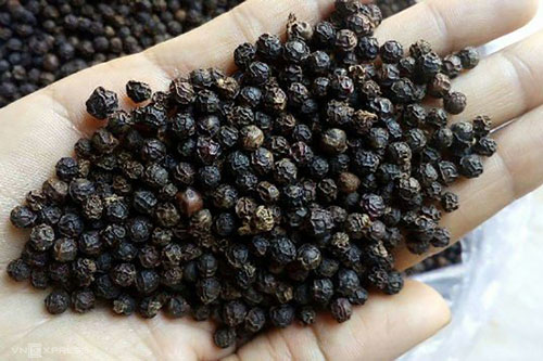 Sai lầm khi sử dụng hạt tiêu khiến cả nhà ốm đau triền miên: 80% người phạm phải