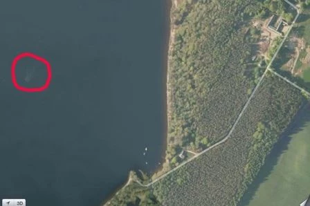  sinh vật kỳ lạ được cho là quái vật huyền thoại Nessie đang bơi trong hồ Loch Ness (Scotland)