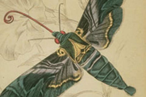 Những thí nghiệm khoa học làm thay đổi thế giới