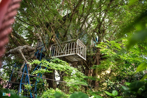 Nằm cách Hồ Hoàn Kiếm 7 km với khoảng 15 phút di chuyển, tổ hợp nhà "Tree House" (đường Ngọc Thụy, quận Long Biên, Hà Nội) của họa sỹ Đào Anh Khánh (61 tuổi) có một ngôi nhà được thiết kế độc đáo, nằm dựa vào 2 cây sanh và một cây vú sữa.