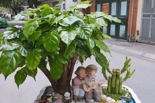 Vì sao mỗi người mệnh Kim sở hữu một cây hạnh phúc?