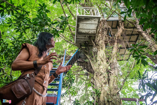 'Nhà cây' độc đáo giữa lòng Hà Nội