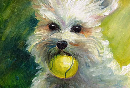 Bắt đầu từ tháng 6, các con giáp có thể đổi đời, giàu có hơn người trong 3 năm tới