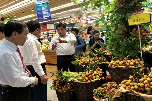 Hệ thống siêu thị hỗ trợ đầu ra cho trái vải