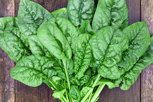 5 loại rau luộc lên dễ làm mất chất dinh dưỡng, cả nhà chỉ được ăn bã