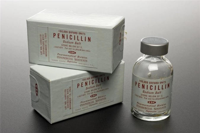 Thuốc kháng sinh Penicillin